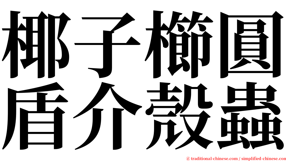 椰子櫛圓盾介殼蟲 serif font