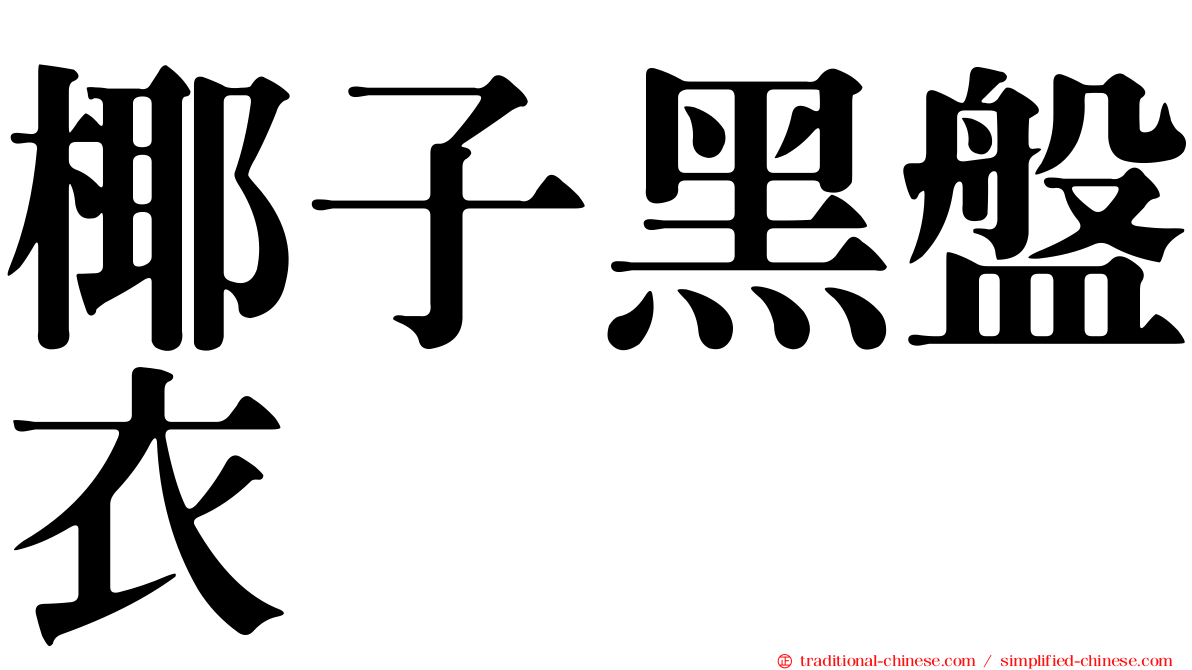 椰子黑盤衣