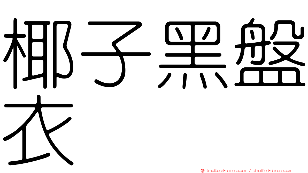 椰子黑盤衣
