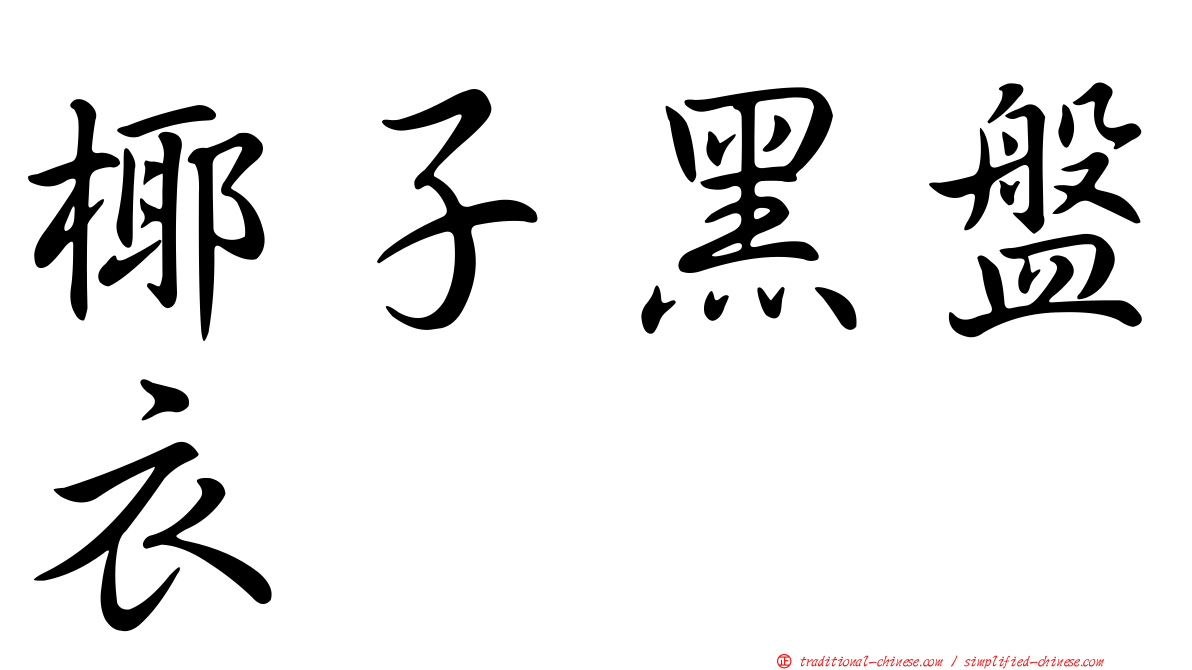 椰子黑盤衣