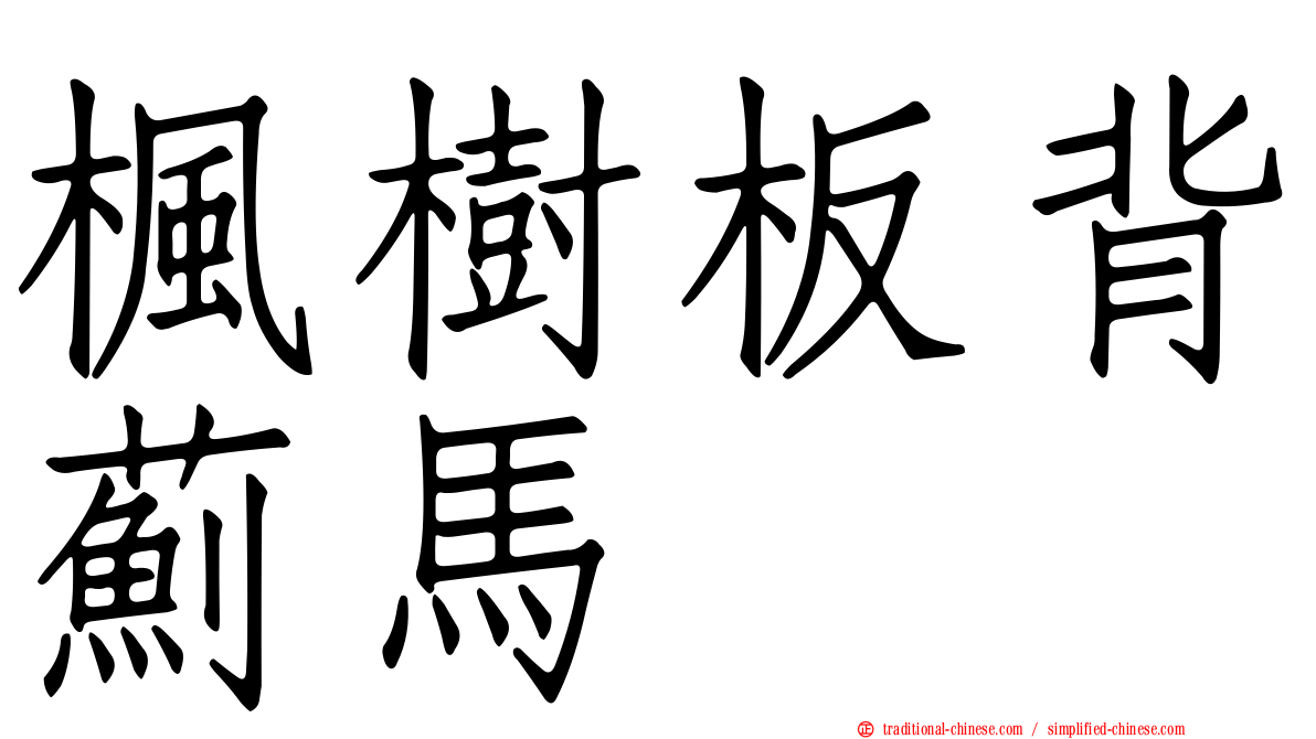 楓樹板背薊馬