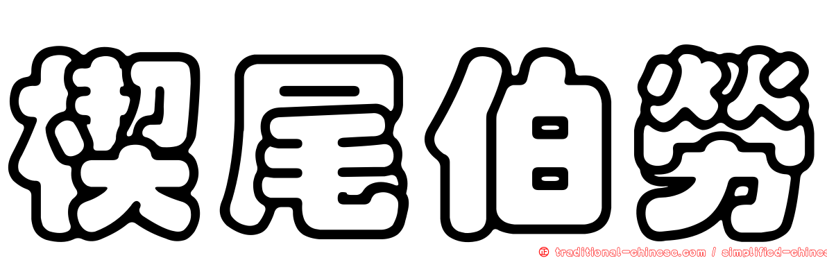 楔尾伯勞