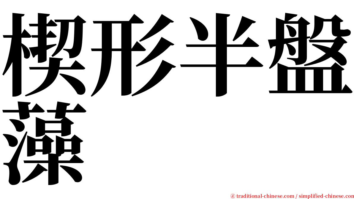 楔形半盤藻 serif font