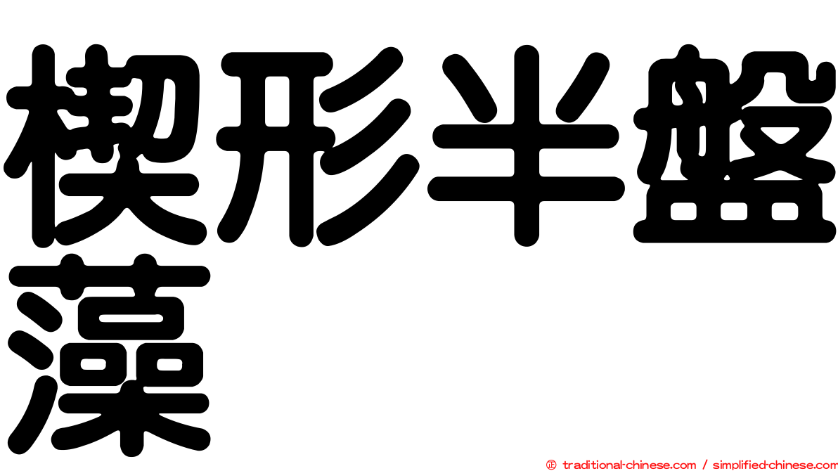 楔形半盤藻