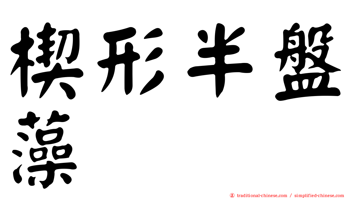 楔形半盤藻