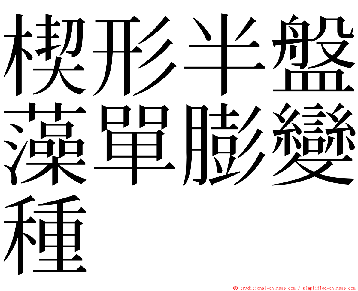 楔形半盤藻單膨變種 ming font