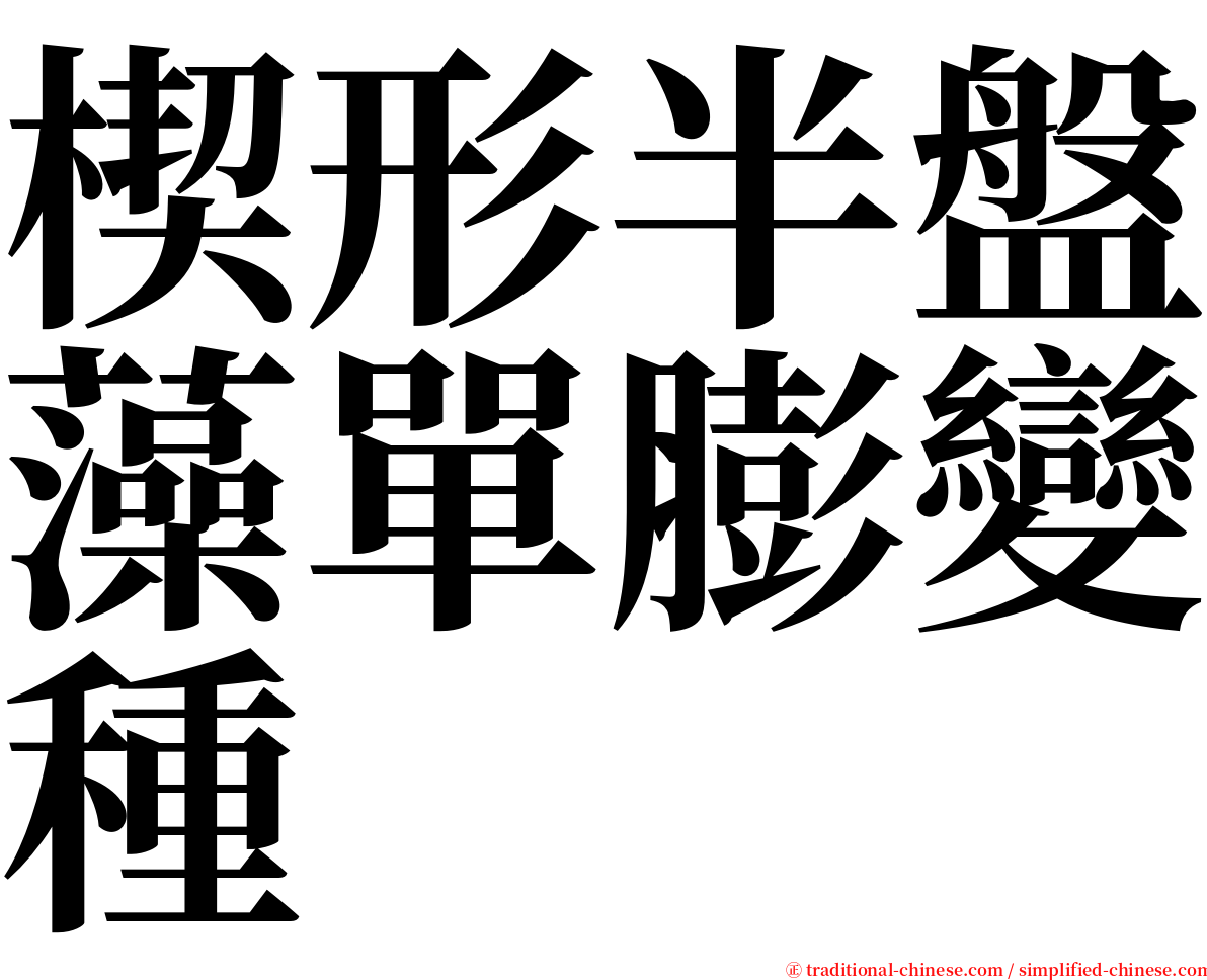 楔形半盤藻單膨變種 serif font