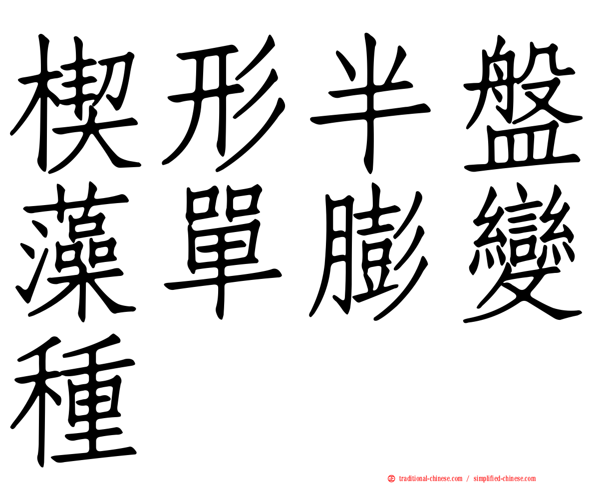 楔形半盤藻單膨變種