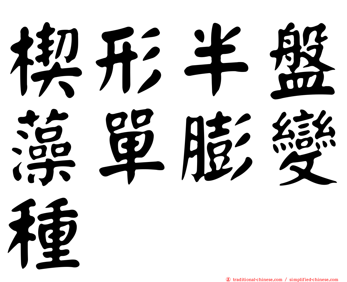 楔形半盤藻單膨變種