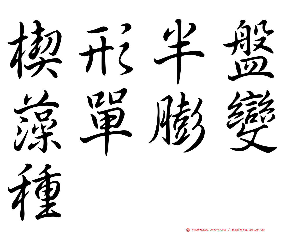 楔形半盤藻單膨變種