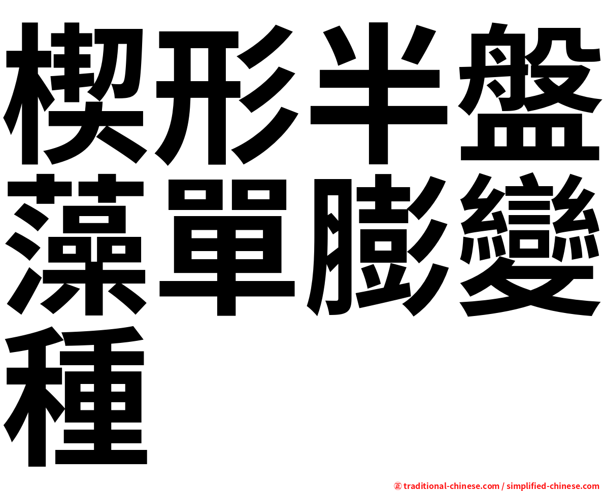 楔形半盤藻單膨變種