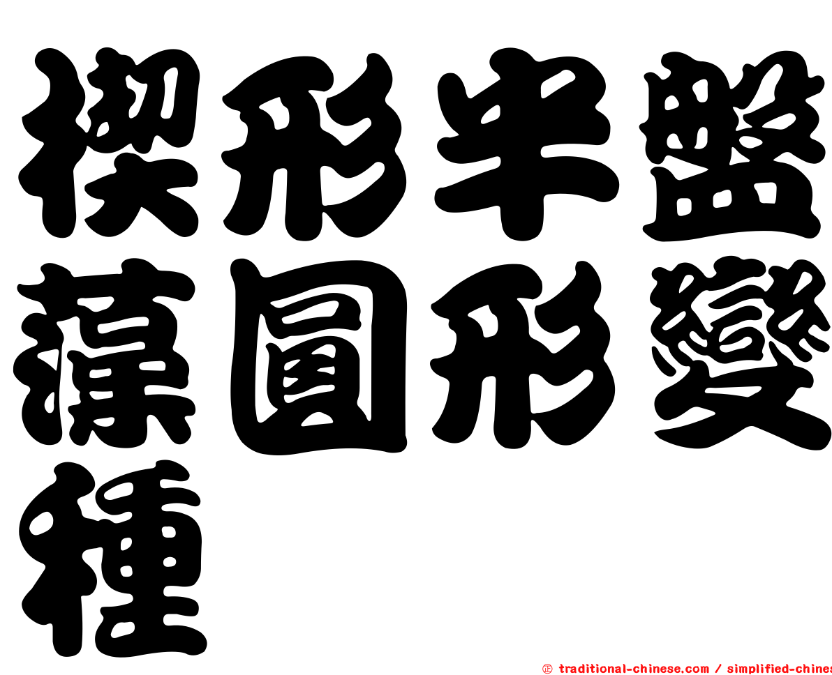 楔形半盤藻圓形變種