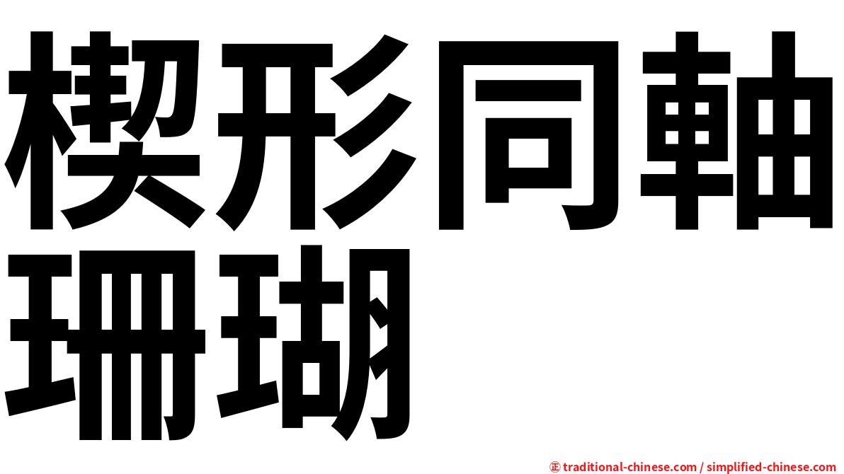 楔形同軸珊瑚