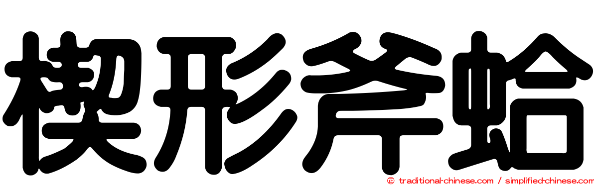 楔形斧蛤