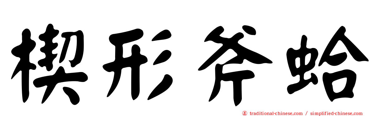 楔形斧蛤