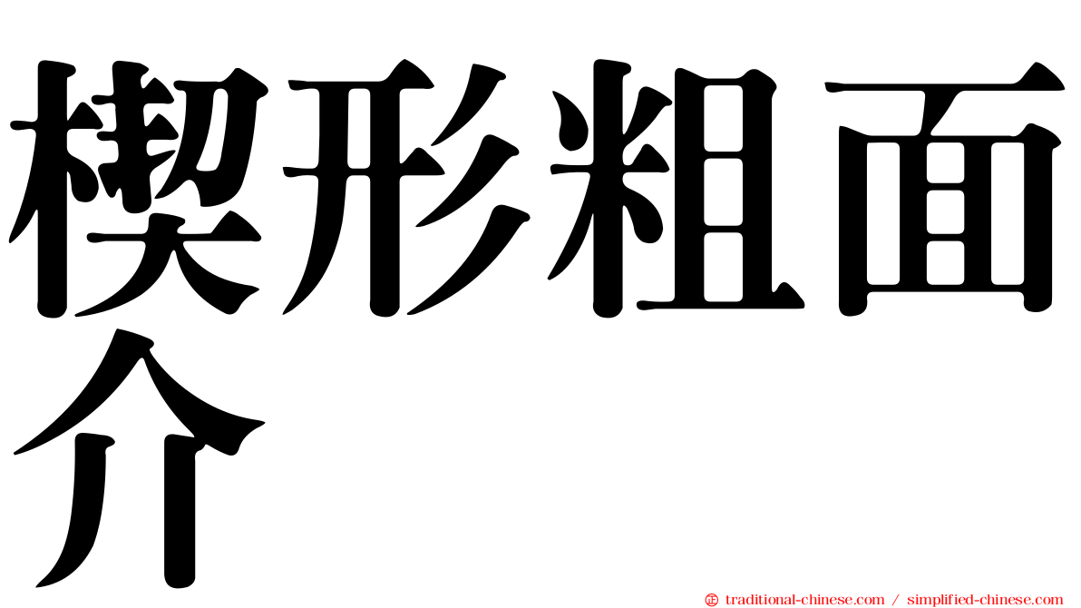 楔形粗面介