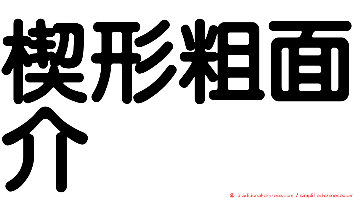 楔形粗面介