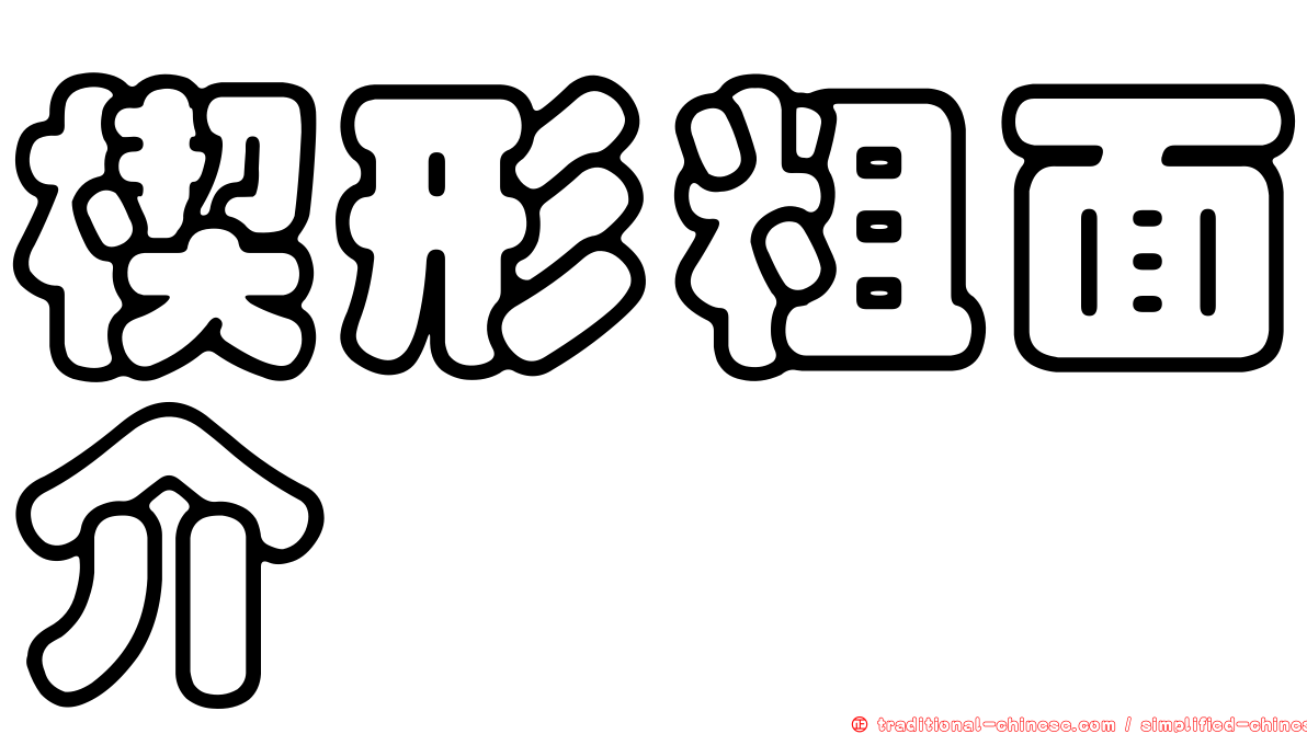 楔形粗面介