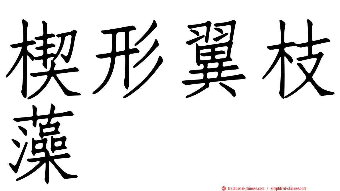 楔形翼枝藻