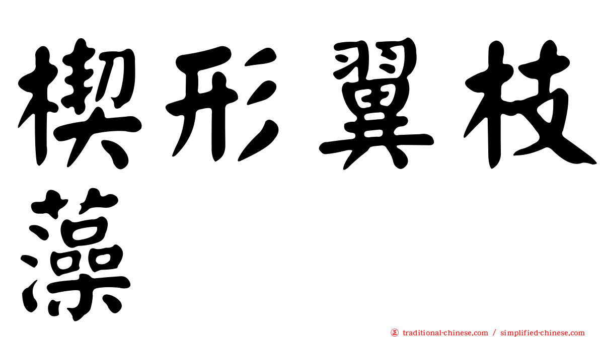 楔形翼枝藻