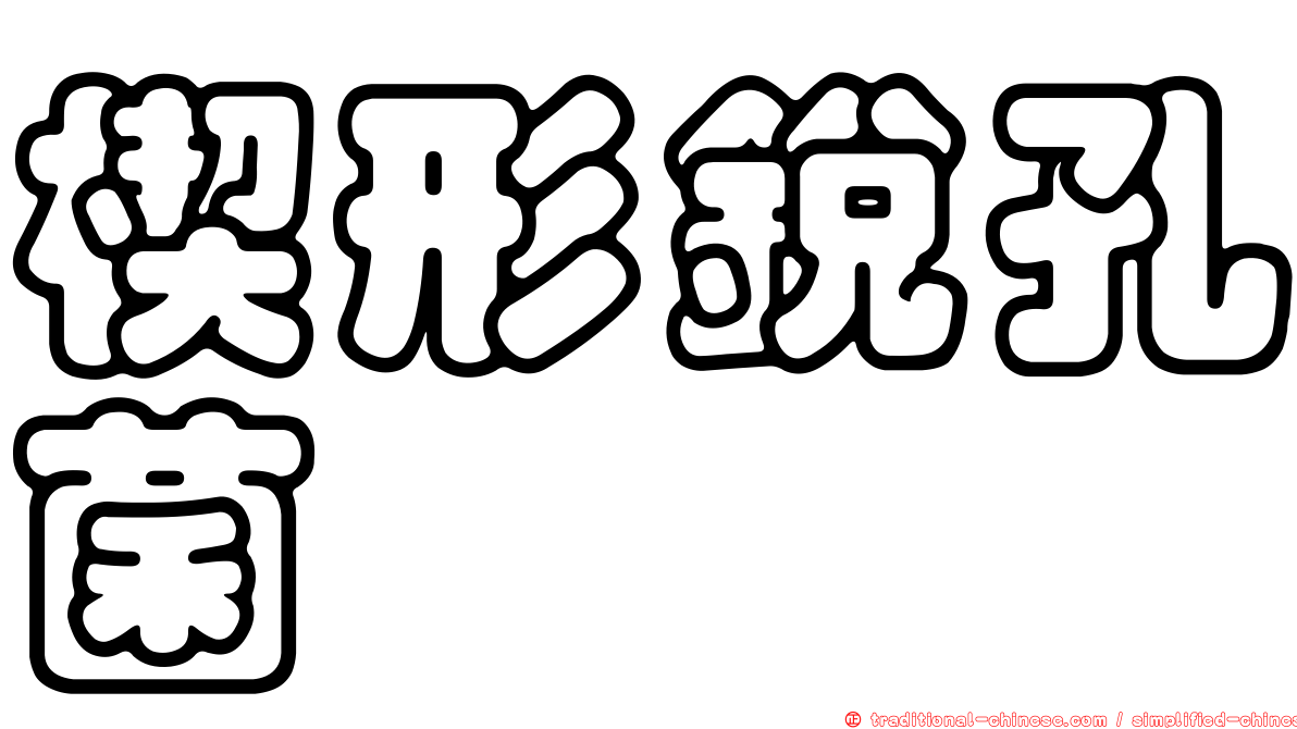 楔形銳孔菌