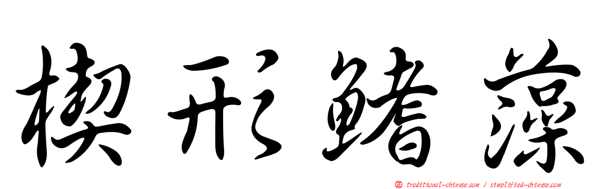 楔形鰭藻