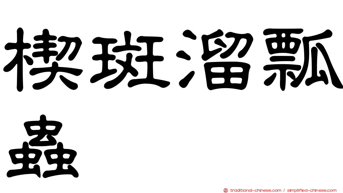 楔斑溜瓢蟲