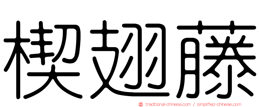 楔翅藤