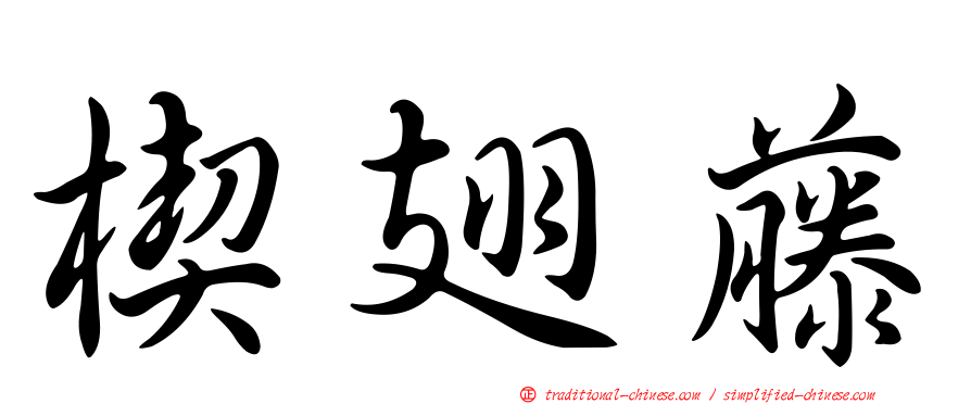 楔翅藤