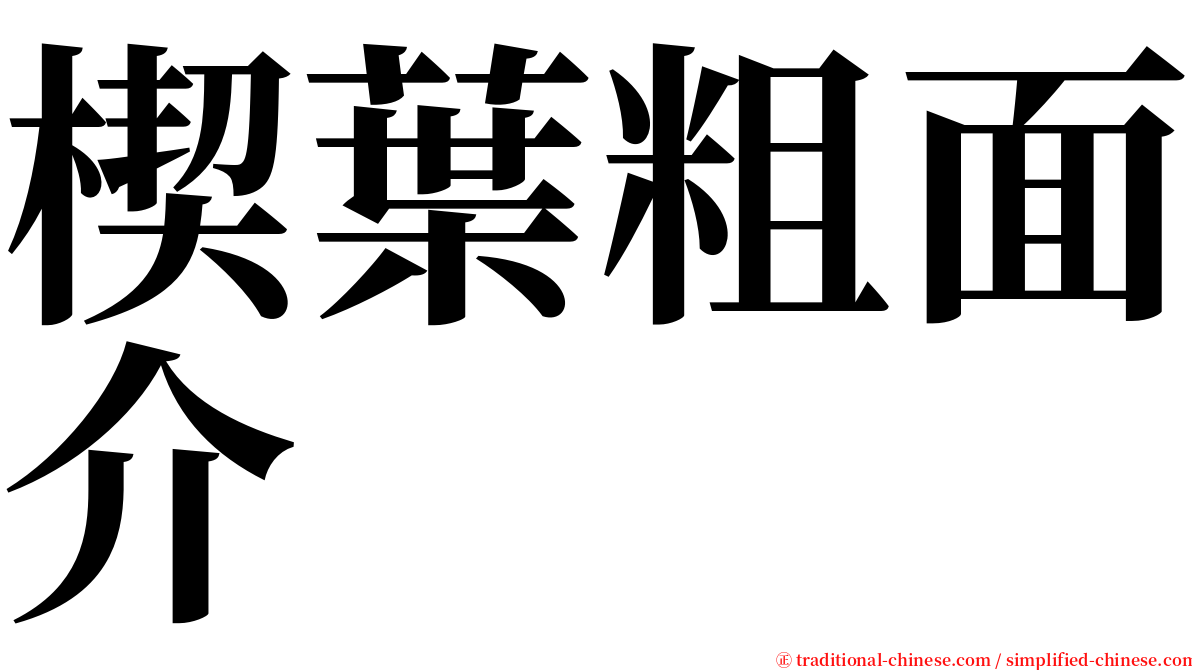 楔葉粗面介 serif font