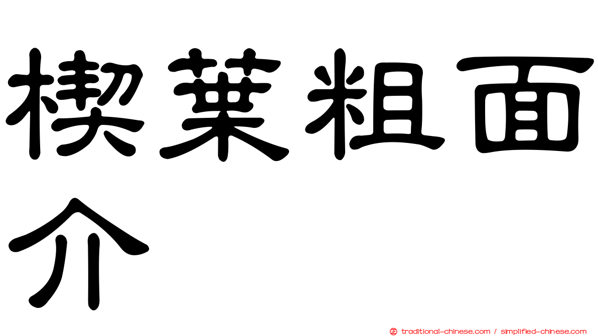 楔葉粗面介