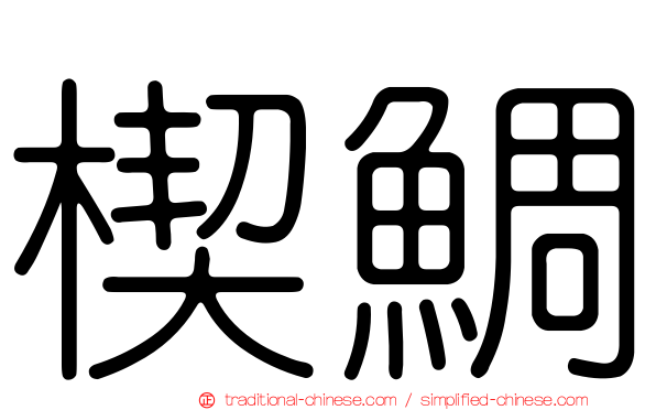 楔鯛