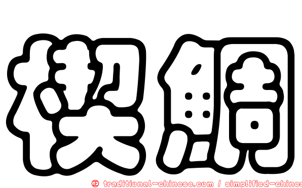 楔鯛