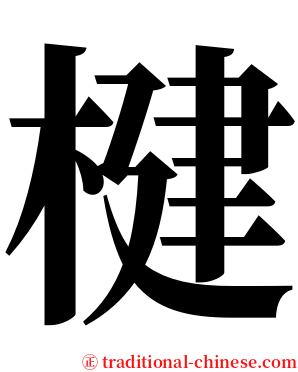 楗 serif font