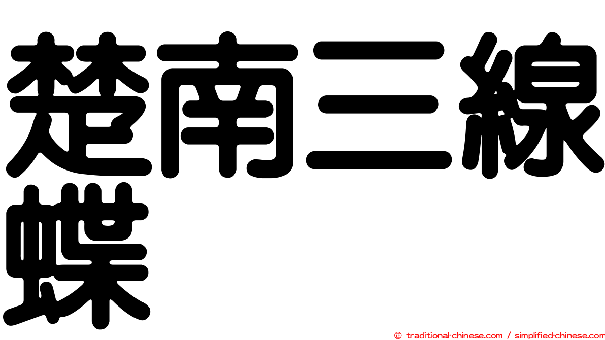 楚南三線蝶