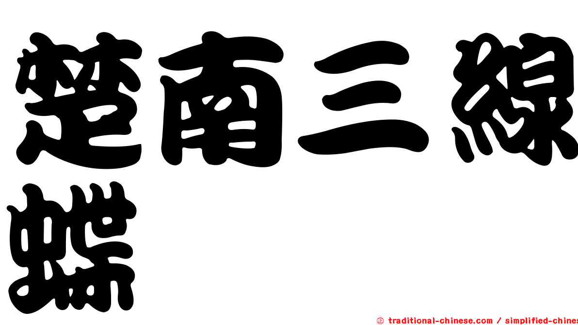 楚南三線蝶