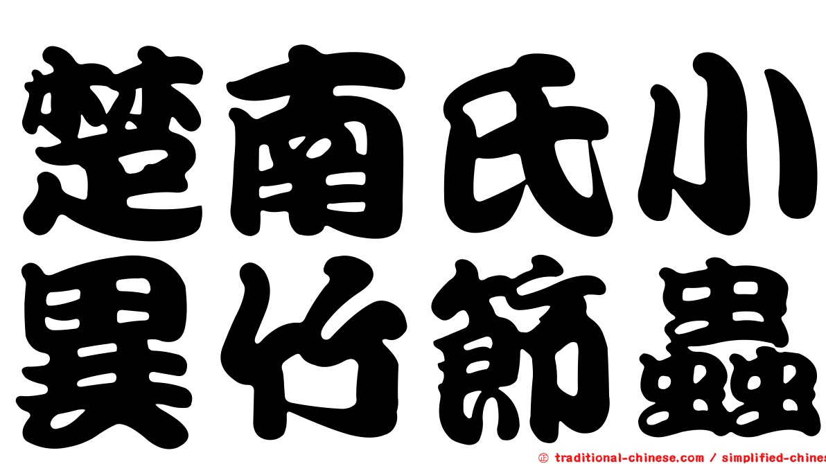 楚南氏小異竹節蟲