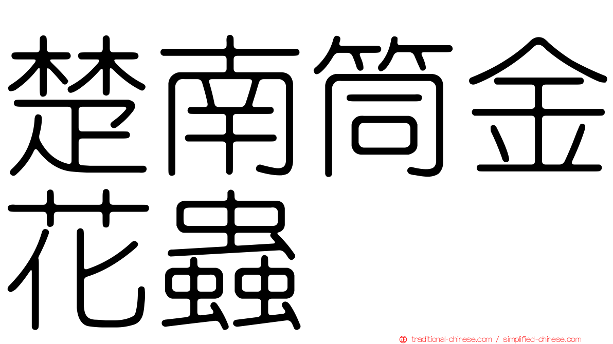 楚南筒金花蟲