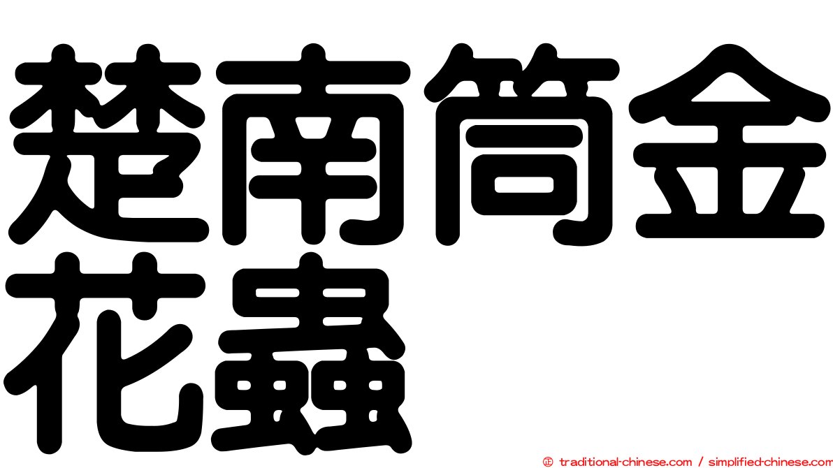 楚南筒金花蟲