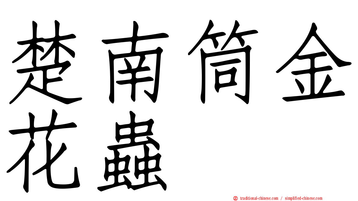 楚南筒金花蟲