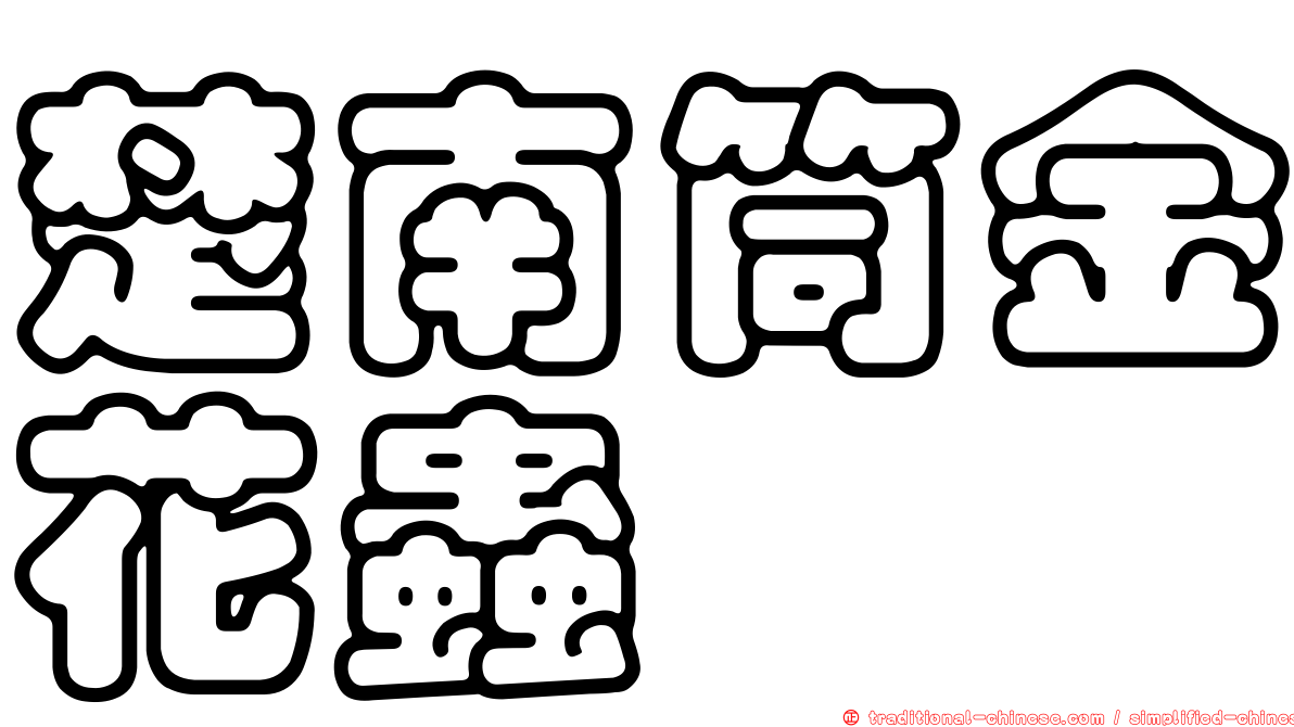 楚南筒金花蟲