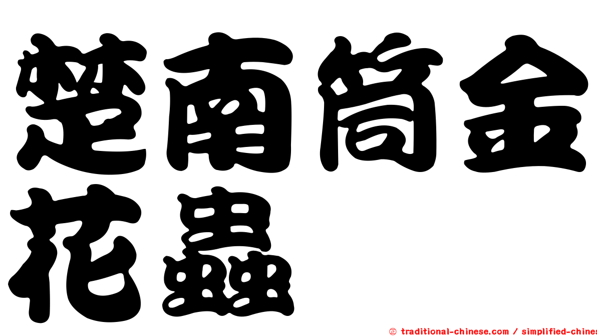 楚南筒金花蟲