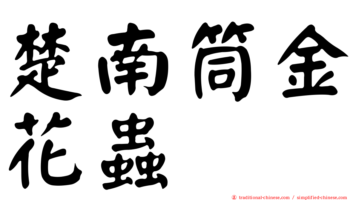 楚南筒金花蟲