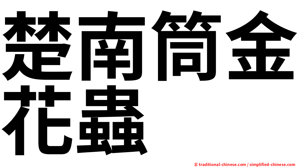 楚南筒金花蟲