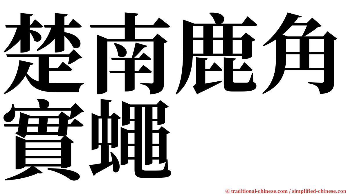 楚南鹿角實蠅 serif font