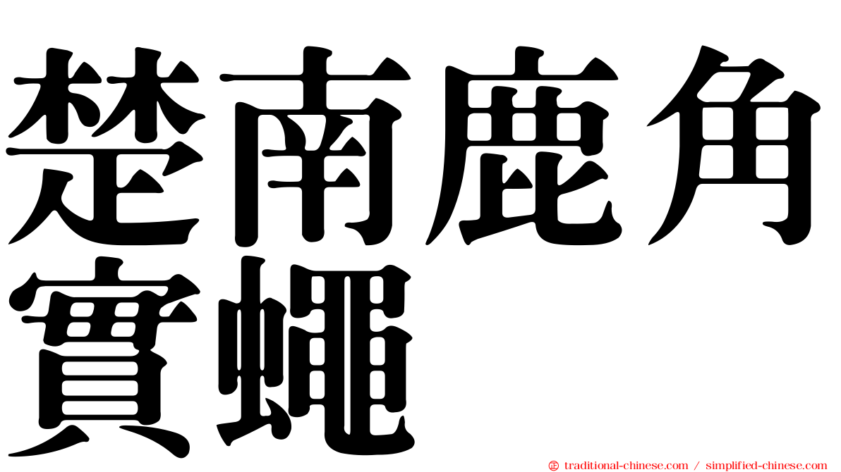 楚南鹿角實蠅