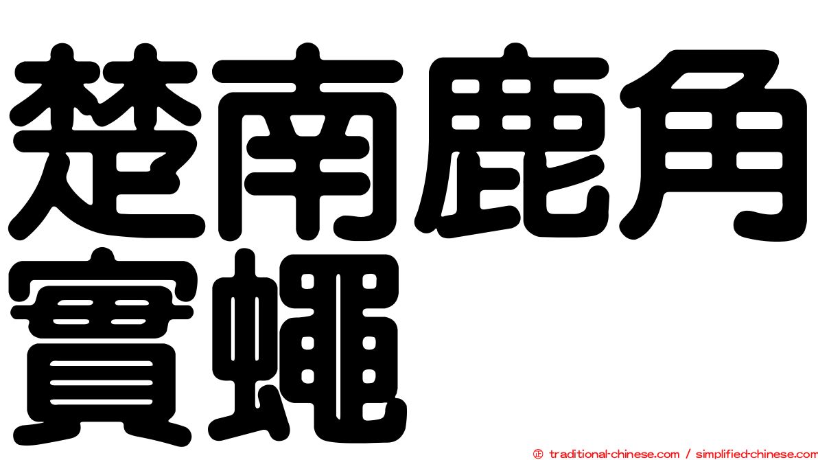 楚南鹿角實蠅