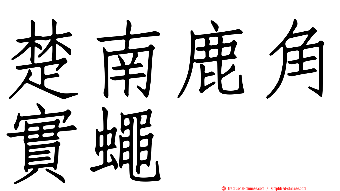 楚南鹿角實蠅