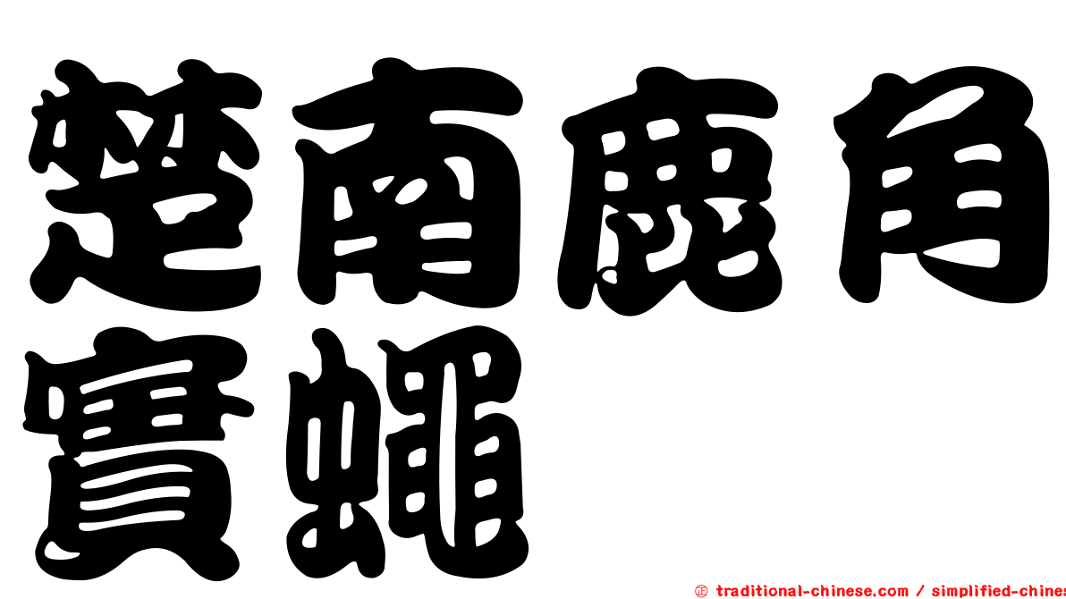 楚南鹿角實蠅