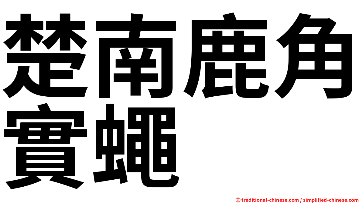 楚南鹿角實蠅